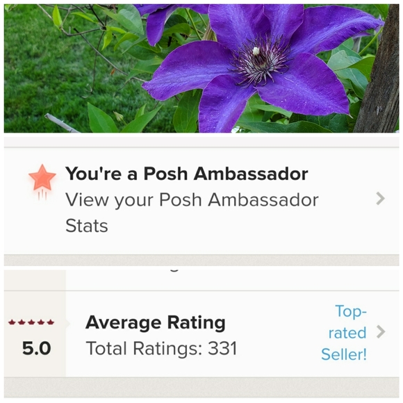 Meet your Posher, Tess - Picture 3 of 3